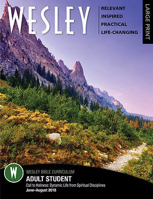 Wesley Summer 2018: Adult Comprehensive Bible Study Large Print Student Book