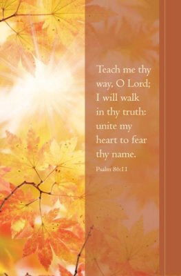 Bulletin-Teach Me Thy Way (Psalm 86:11 KJV) (Pack Of 100) (Pkg-100)