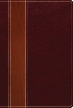 NLT2 Swindoll Study Bible/Large Print-Brown/Tan LeatherLike