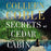 Audiobook-Audio CD-Secrets At Cedar Cabin (Lavender Tides Novel #3) (Jan 2019)