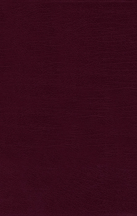 NRSV Thinline Bible (Comfort Print)-Burgundy Bonded Leather (Apr 2019)