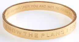 Bracelet-Hinged Bangle-I Know The Plans (Nov)