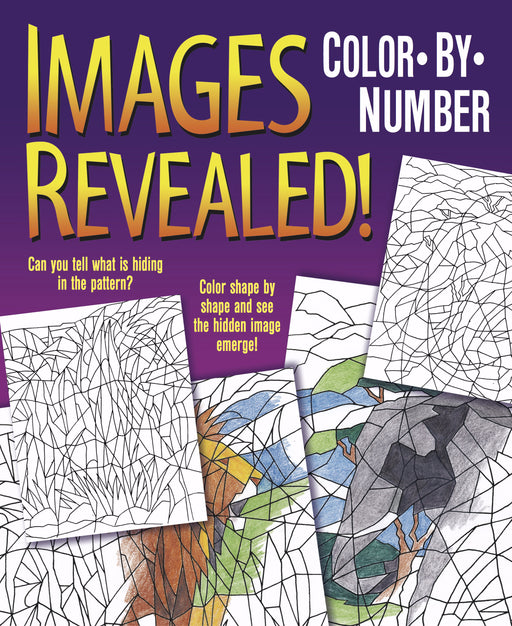 Images Revealed Color By Number