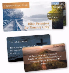 Laminated Scripture Cards-Bible Promises For Times Of Grief-ESV (Set Of 7) (Jan)