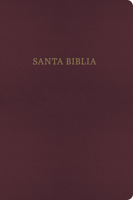 Span-RVR 1960/KJV Bilingual Bible-Burgundy Imitation Leather