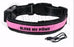Dog Collar-Bless My Paws-LED USB/Solar Rechargeable-Large-Pink