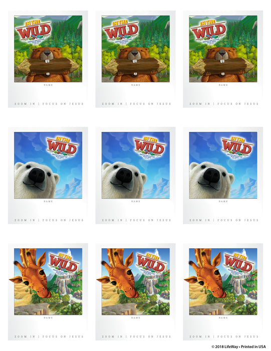 VBS-In The Wild Sticker Name Tags (10 Sheets) (2019)
