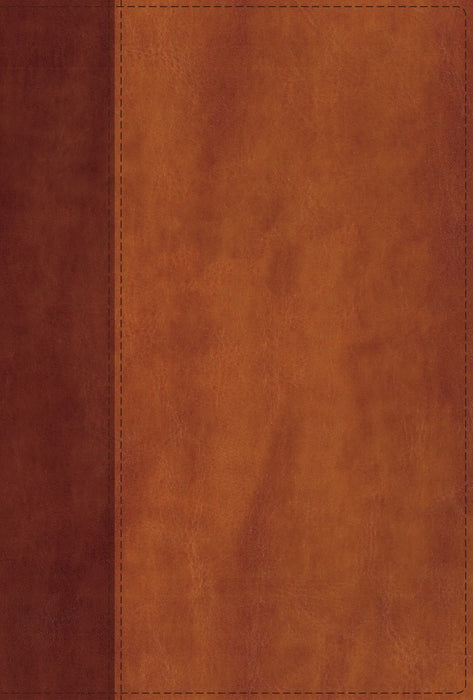 NIV Giant Print Compact Bible (Comfort Print)-Brown Leathersoft (Jun)