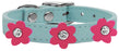 Flower Leather Collar Baby Blue With Pink flowers Size 10