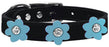 Flower Leather Collar Black With Baby Blue flowers Size 10