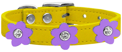 Flower Leather Collar Yellow With Lavender flowers Size 10