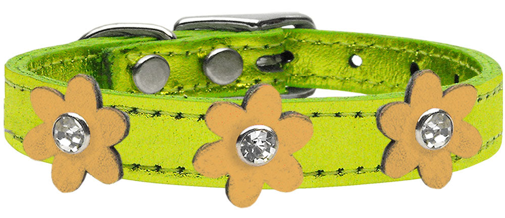 Metallic Flower Leather Collar Metallic Lime Green With Gold flowers Size 20