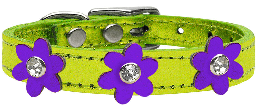 Metallic Flower Leather Collar Metallic Lime Green With Metallic Purple flowers Size 18