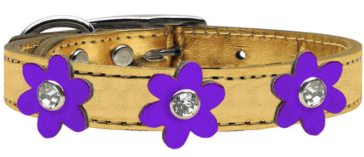 Metallic Flower Leather Collar Gold With Metallic Purple flowers Size 10