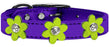 Metallic Flower Leather Collar Metallic Purple With Metallic Lime Green flowers Size 16