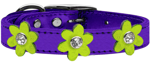 Metallic Flower Leather Collar Metallic Purple With Metallic Lime Green flowers Size 10