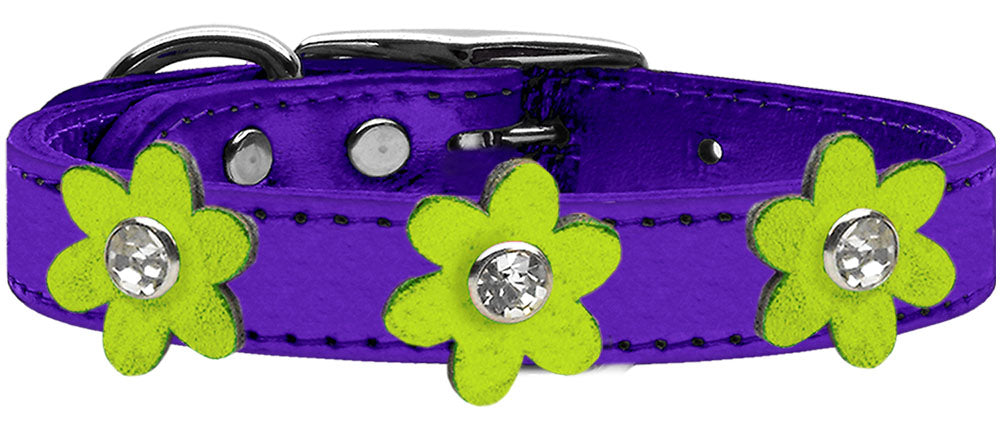 Metallic Flower Leather Collar Metallic Purple With Metallic Lime Green flowers Size 26