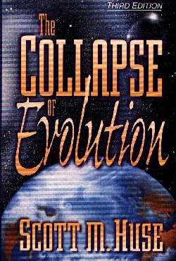 Collapse Of Evolution