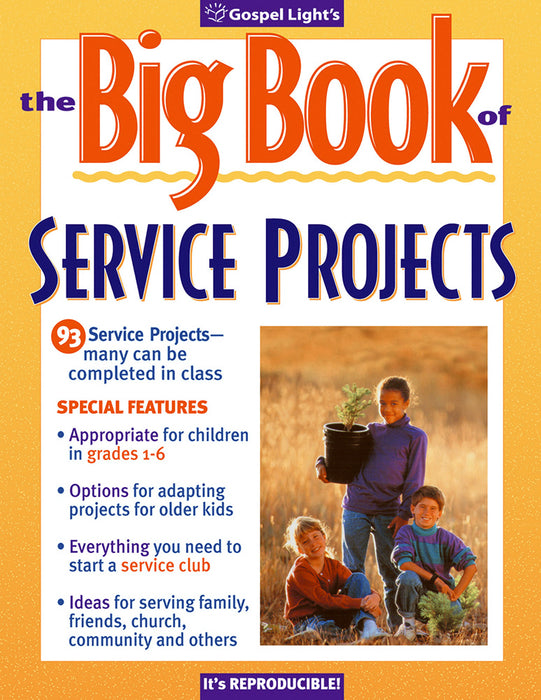 Big Book Of Service Projects (Revised)
