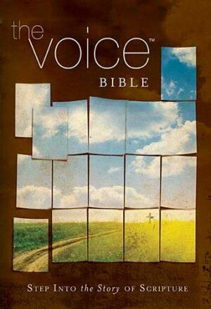 Voice Bible-HC