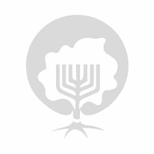 Mezuzah-Messianic Roots Symbol-Blu-Pewter-4.5"