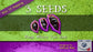 Game-3 Seeds: Reap Where You Sow Game