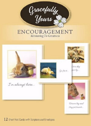 Card-Boxed-Encouragement-Mentoring To Greatness #1