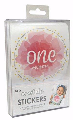 First Year Monthly Stickers For Girls (Use On Clot