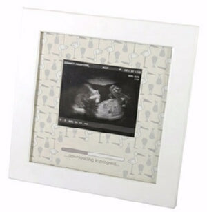 Sonogram-Downloading In Progress (Holds 3.65 Frame