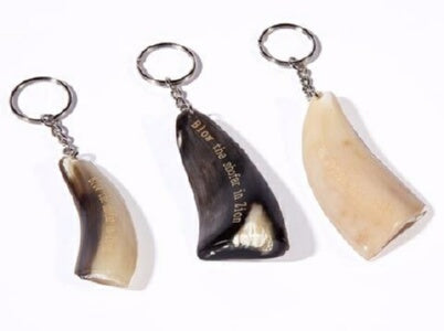 Shofar: Blow The Shofar In Zion Key Chain