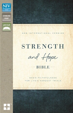 NIV Strength And Hope Bible-Brown/Teal LeatherSoft