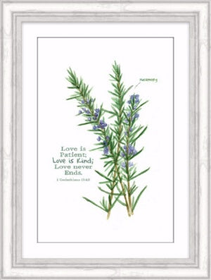 Framed Art-Love Is Patient (Rosemary Herb) (10 x 1