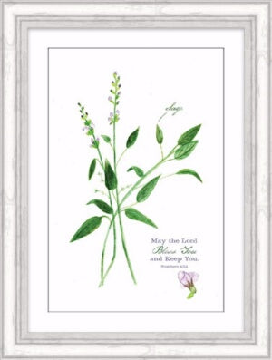 Framed Art-May The Lord Bless You (Sage Herb) (10