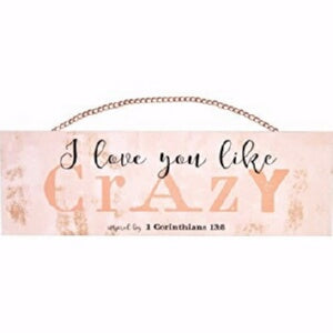 Plaque w/Copper Chain-I Love You Like Crazy (15.5