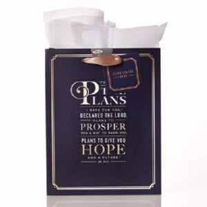 The Plans w/Tag & Tissue-Medium Gift Bag