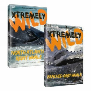 Xtremely Wild: A Whale of a Time