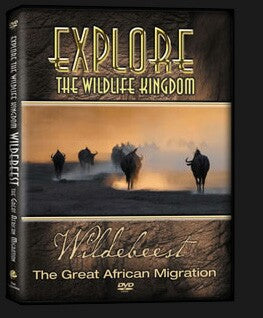 Explore The Wildlife Kingdom : WILDEBEEST The Great African Migration DVD