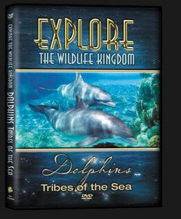 Explore The Wildlife Kingdom : DOLPHINS Tribes of the Sea DVD