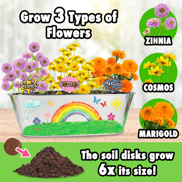 Miraclegro Diy Flower Growing Kit