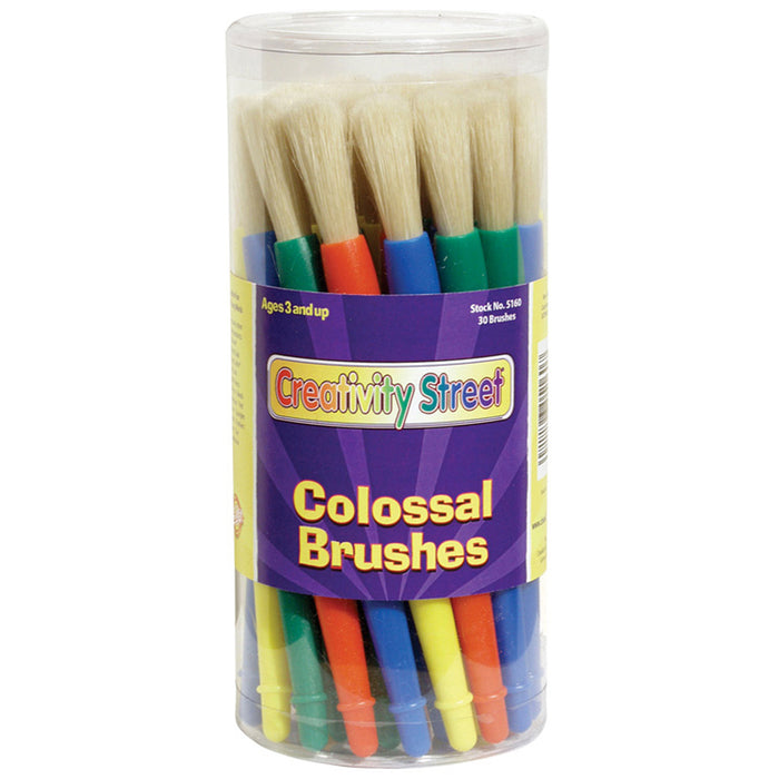 Colossal Brushes 30pk Plastc Handle