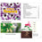 All About Plants 5 Book Set