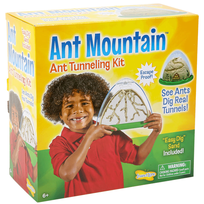 Ant Mountain