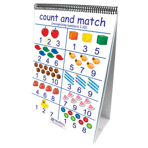 Number Sense 10 Double Sided Curriculum Mastery Flip Charts