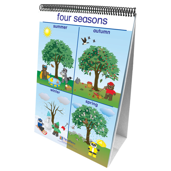 Flip Charts Weather & Sky Early Childhood Science Readiness