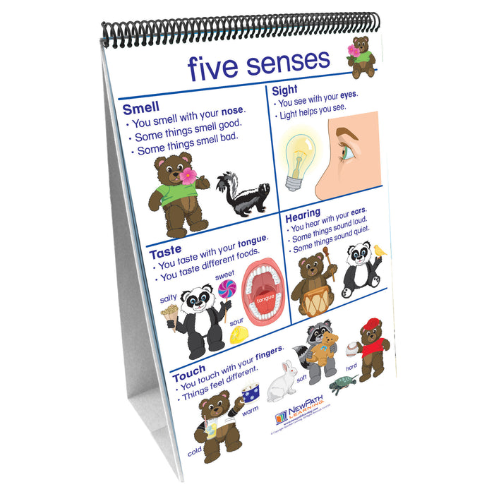 Flip Charts All About Me Early Childhood Science Readiness