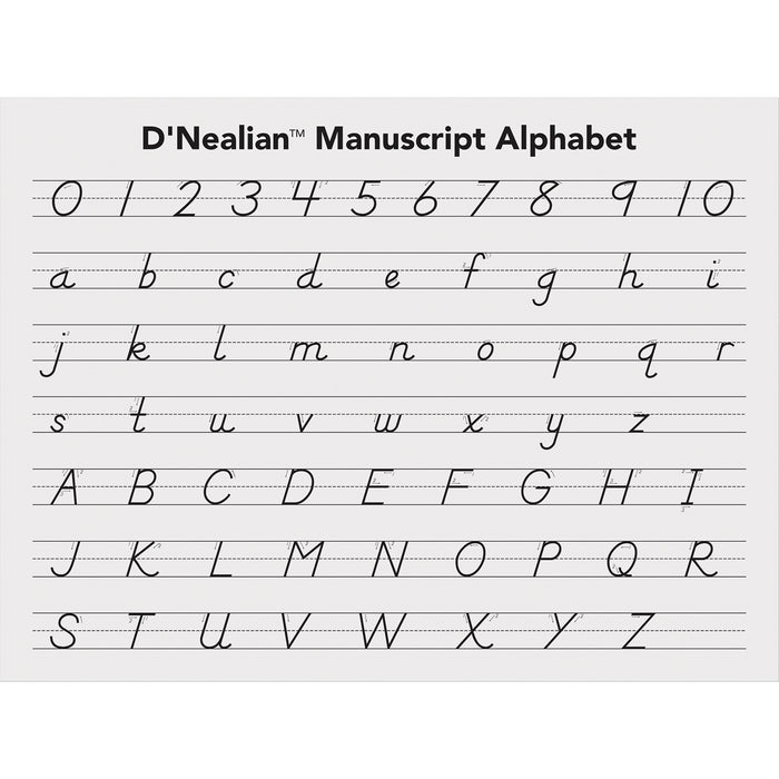 (12 Ea) Dnealian 40 Sheet Writing Tablet