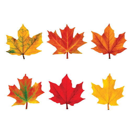 (6 Pk) Classic Accents Maple Leaves Mini Variety Pk-discovery