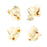 (6 Pk) Classic Accents Popcorn Mini Variety Pk Discovery