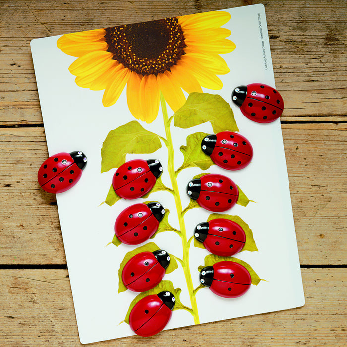 Ladybugs Early Number Cards