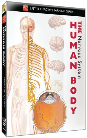 Just the Facts: The Human Body: Nervous System